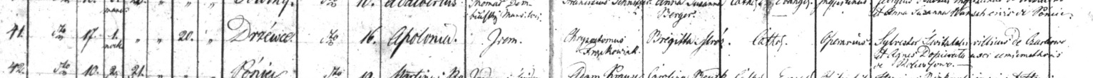 Apolonia Frackowiak Baptism Record