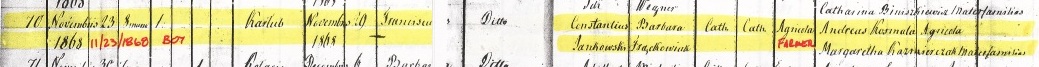 Frank Jankowski birth record