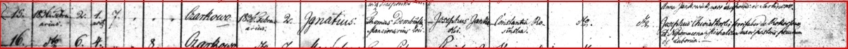 Ignatius Jankowski baptism record