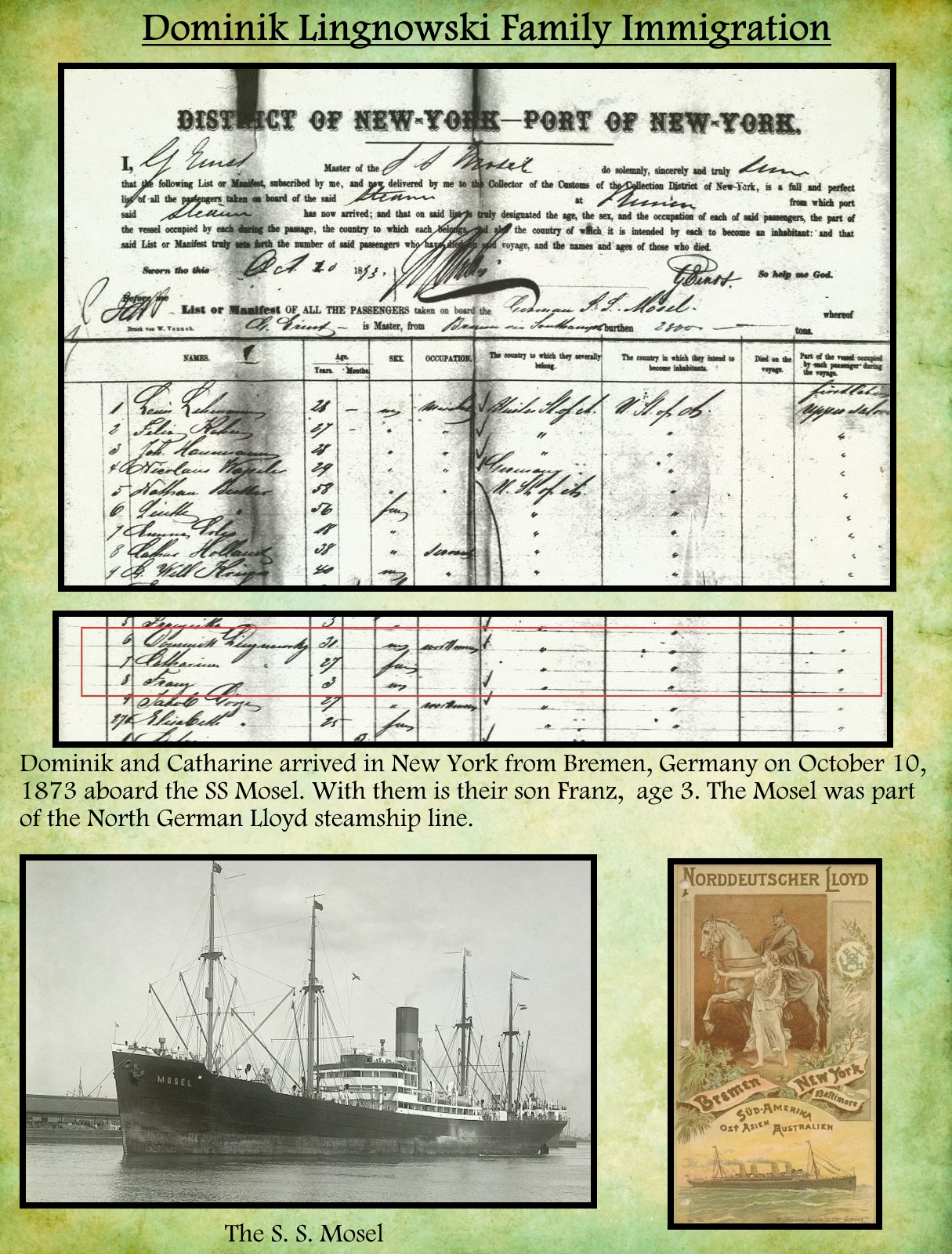 Dominik Lingnowski Immigration