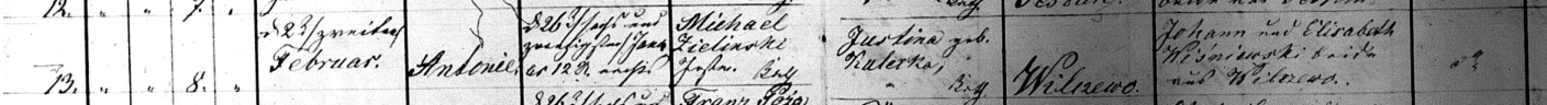 Antonia Zielinski 1879 Baptism Record