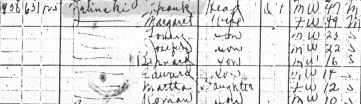 1920 census